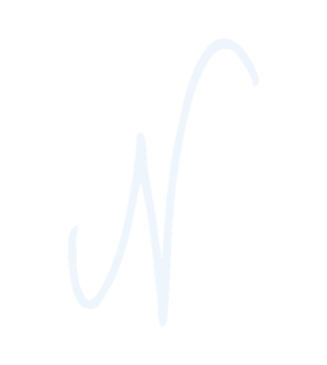 nicmic logo