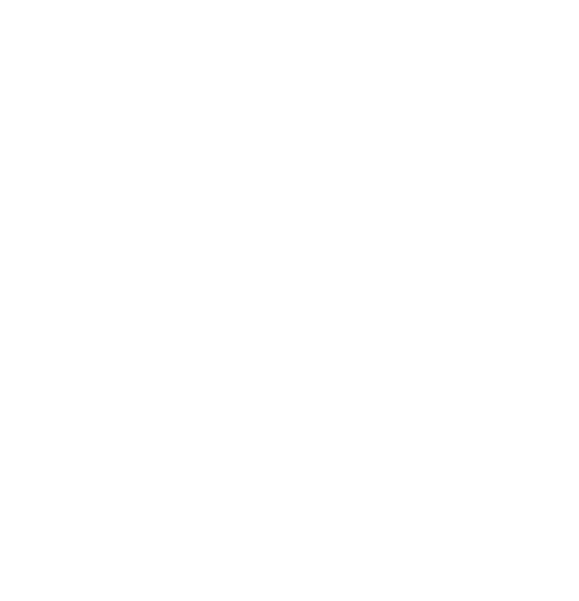 nicmic logo