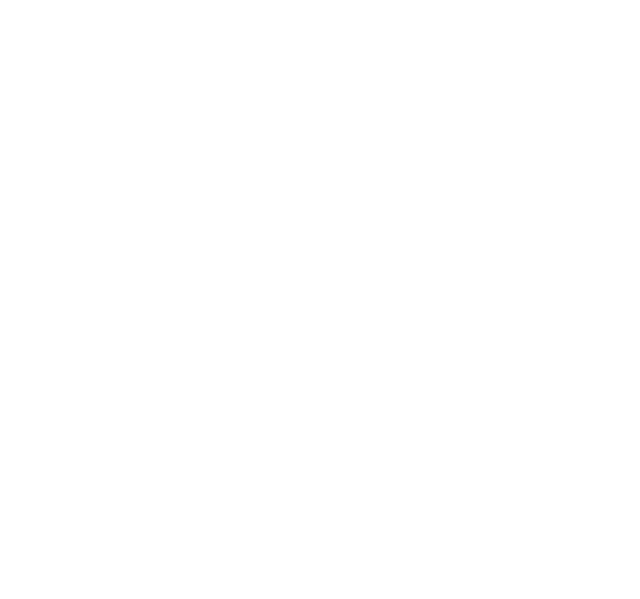 nicmic logo
